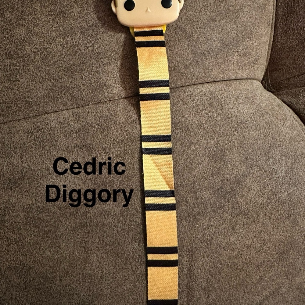 Cedric Diggory 2024 Limited Edition Kinder Joy Funko Pop! Bookmark/Bracelet